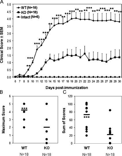 https://cdn.ncbi.nlm.nih.gov/pmc/blobs/aec1/2118197/79564ee1e4f9/jem2030425f08.jpg