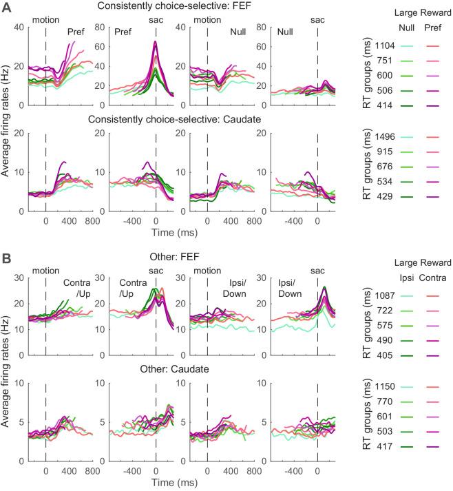 https://cdn.ncbi.nlm.nih.gov/pmc/blobs/aec1/7695458/36fc9c06395f/elife-60535-fig5.jpg