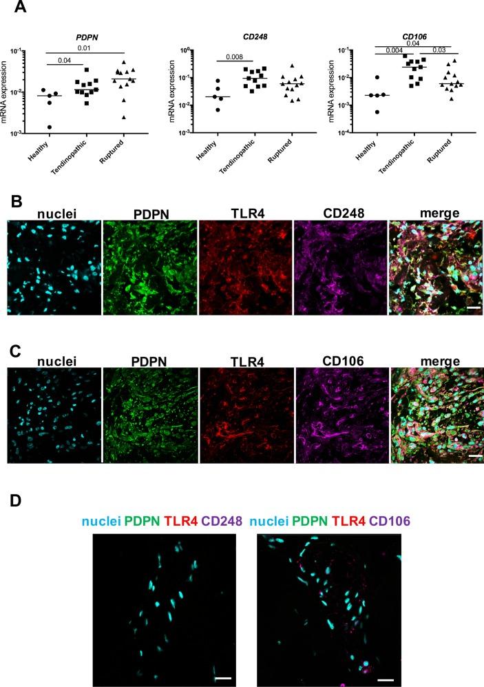 https://cdn.ncbi.nlm.nih.gov/pmc/blobs/aec3/5867427/8fa2b0b85b97/bjsports-2017-098161f03.jpg