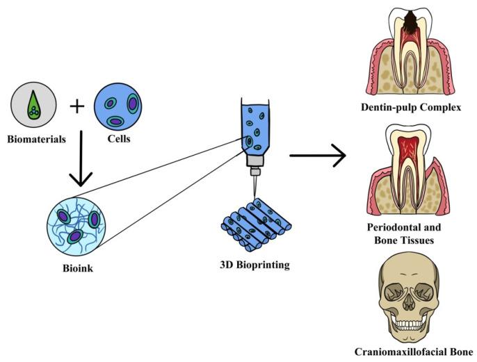 https://cdn.ncbi.nlm.nih.gov/pmc/blobs/aec3/9504181/1b4b532d4e4a/materials-15-06398-g005.jpg