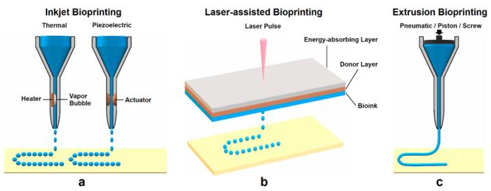 https://cdn.ncbi.nlm.nih.gov/pmc/blobs/aec3/9504181/a3885b10a4eb/materials-15-06398-g001.jpg