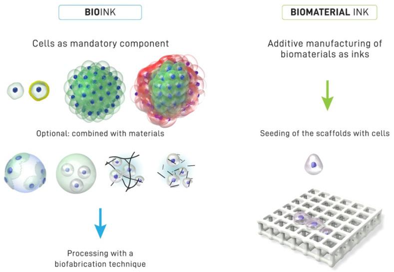 https://cdn.ncbi.nlm.nih.gov/pmc/blobs/aec3/9504181/bcc71213cdf6/materials-15-06398-g002.jpg