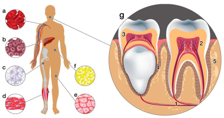 https://cdn.ncbi.nlm.nih.gov/pmc/blobs/aec3/9504181/c8cfd301725f/materials-15-06398-g003.jpg