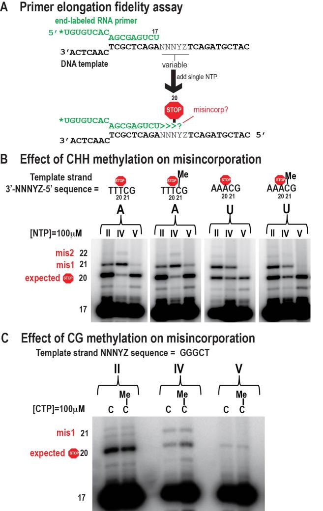 https://cdn.ncbi.nlm.nih.gov/pmc/blobs/aec4/5737373/3c86348d94df/gkx794fig3.jpg