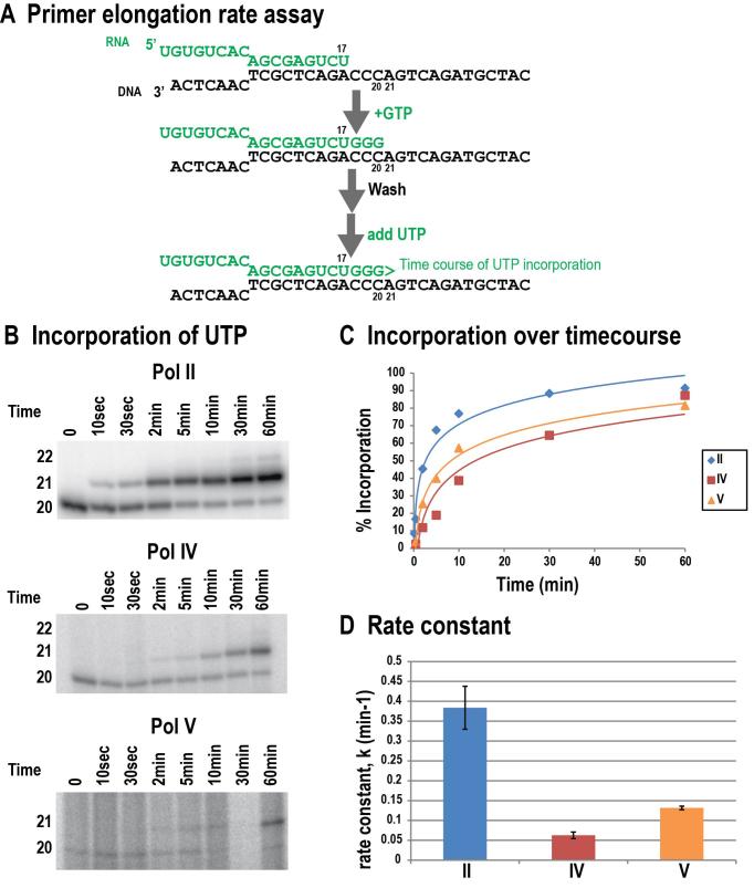https://cdn.ncbi.nlm.nih.gov/pmc/blobs/aec4/5737373/611fea5b70c7/gkx794fig5.jpg