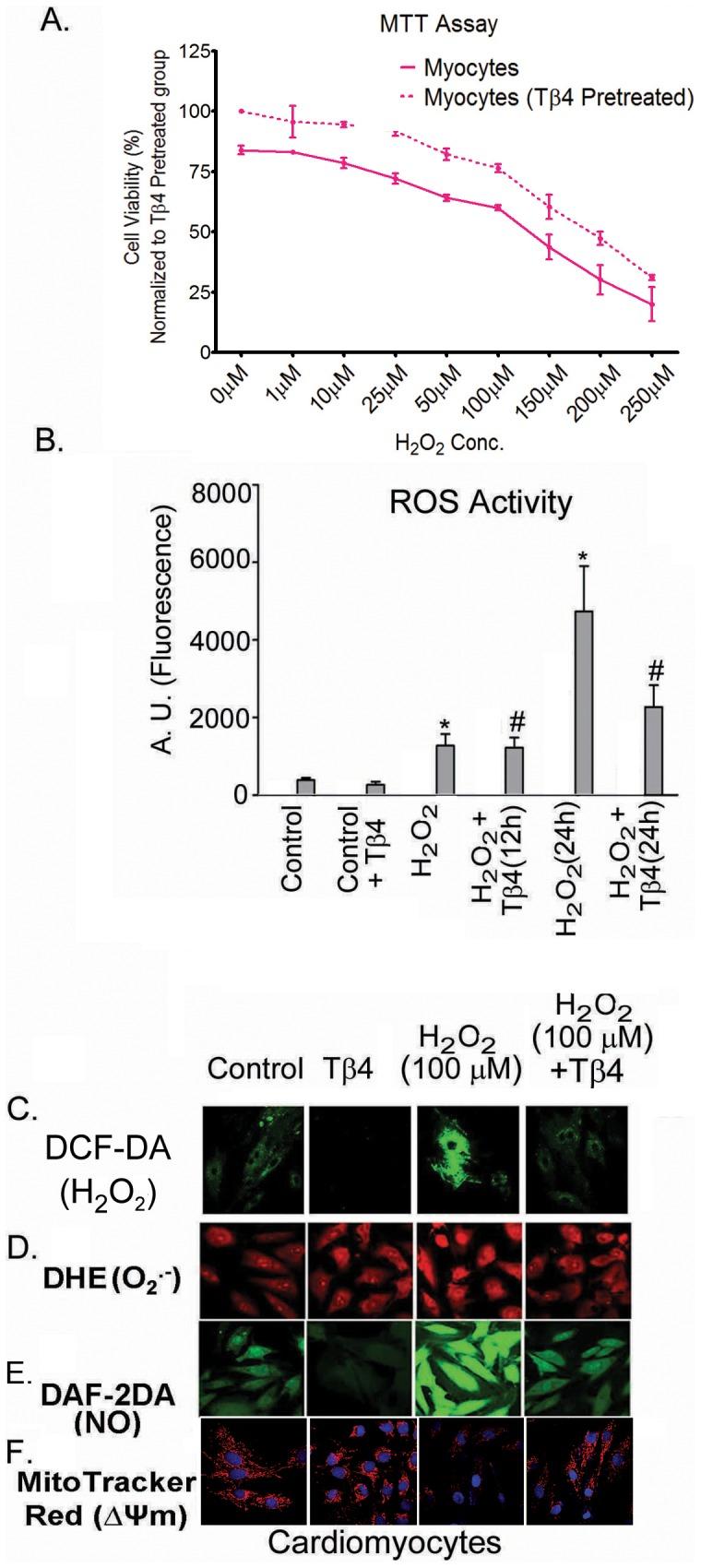 https://cdn.ncbi.nlm.nih.gov/pmc/blobs/aec6/3411836/faf9bc02d996/pone.0042586.g001.jpg
