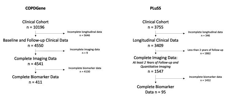 https://cdn.ncbi.nlm.nih.gov/pmc/blobs/aec8/10941119/1733c3d73180/bmjresp-2023-002219f01.jpg