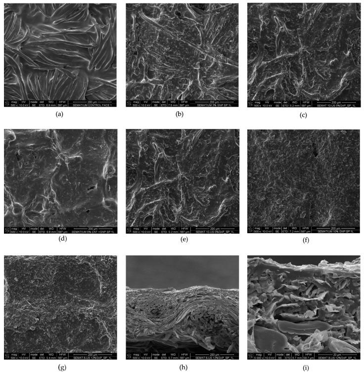 https://cdn.ncbi.nlm.nih.gov/pmc/blobs/aeca/9230175/17bfd2bc4df8/materials-15-04323-g007.jpg