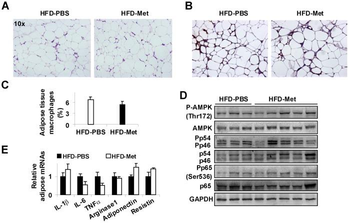 https://cdn.ncbi.nlm.nih.gov/pmc/blobs/aece/3956460/07762c9e23a5/pone.0091111.g004.jpg