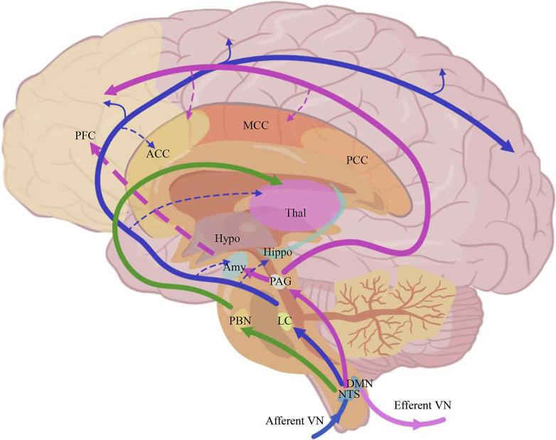 https://cdn.ncbi.nlm.nih.gov/pmc/blobs/aed0/10614462/29612b31d2f0/nim-2023-0030-0001-531626_F01.jpg