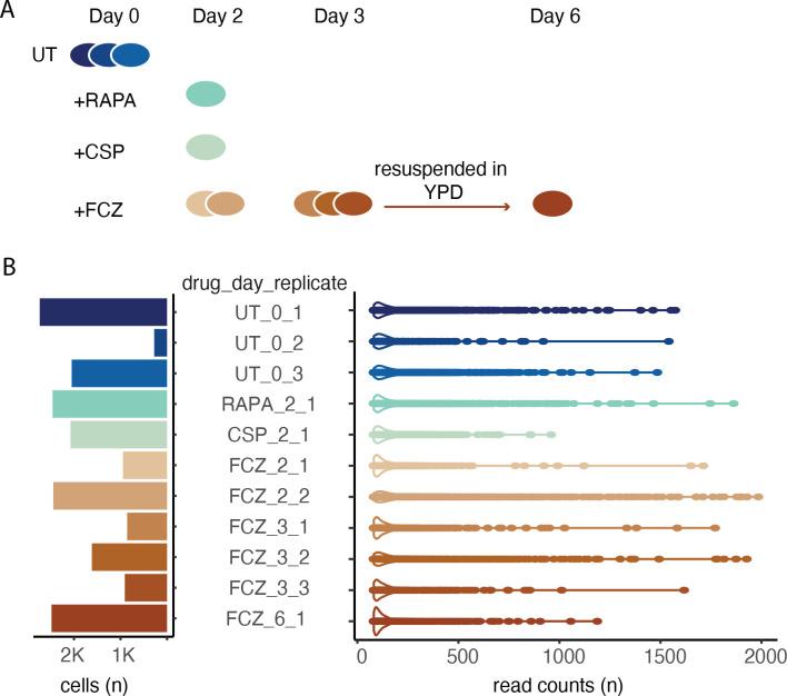 https://cdn.ncbi.nlm.nih.gov/pmc/blobs/aed0/10699808/3f5377c75704/elife-81406-fig1.jpg