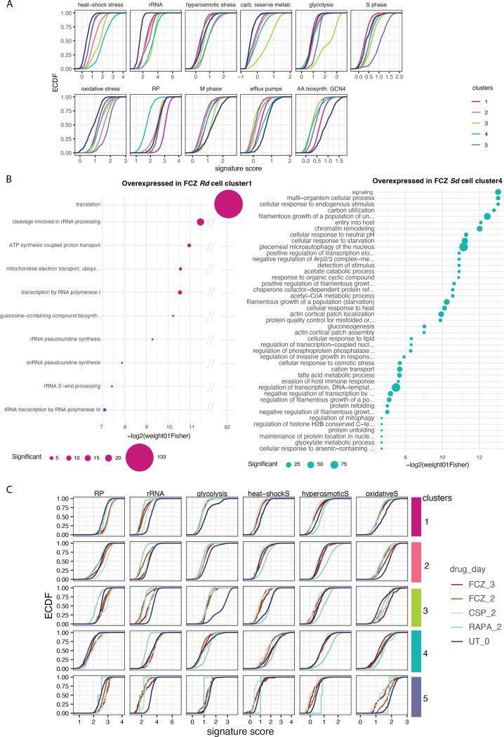 https://cdn.ncbi.nlm.nih.gov/pmc/blobs/aed0/10699808/acd2c15b9f8b/elife-81406-fig3-figsupp2.jpg