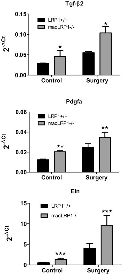 https://cdn.ncbi.nlm.nih.gov/pmc/blobs/aed1/3235159/4eefa804631a/pone.0028846.g004.jpg