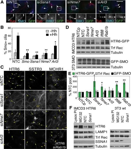 https://cdn.ncbi.nlm.nih.gov/pmc/blobs/aed2/3069013/a48b9b8afcab/1104fig8.jpg