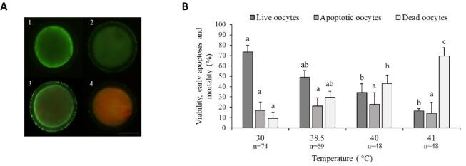 https://cdn.ncbi.nlm.nih.gov/pmc/blobs/aed5/12085582/a1b64154a8b2/41598_2025_1173_Fig3_HTML.jpg