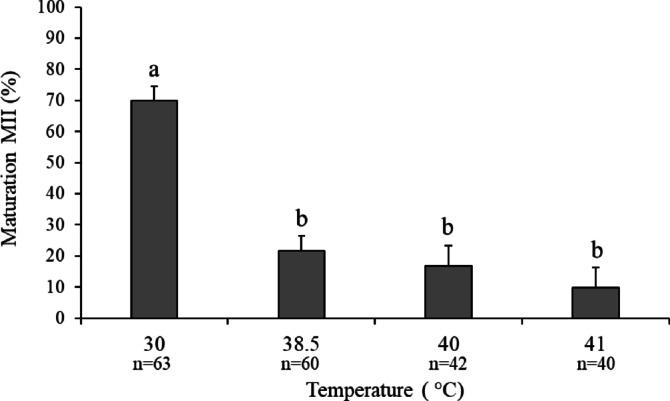 https://cdn.ncbi.nlm.nih.gov/pmc/blobs/aed5/12085582/a6adafc66a5a/41598_2025_1173_Fig12_HTML.jpg