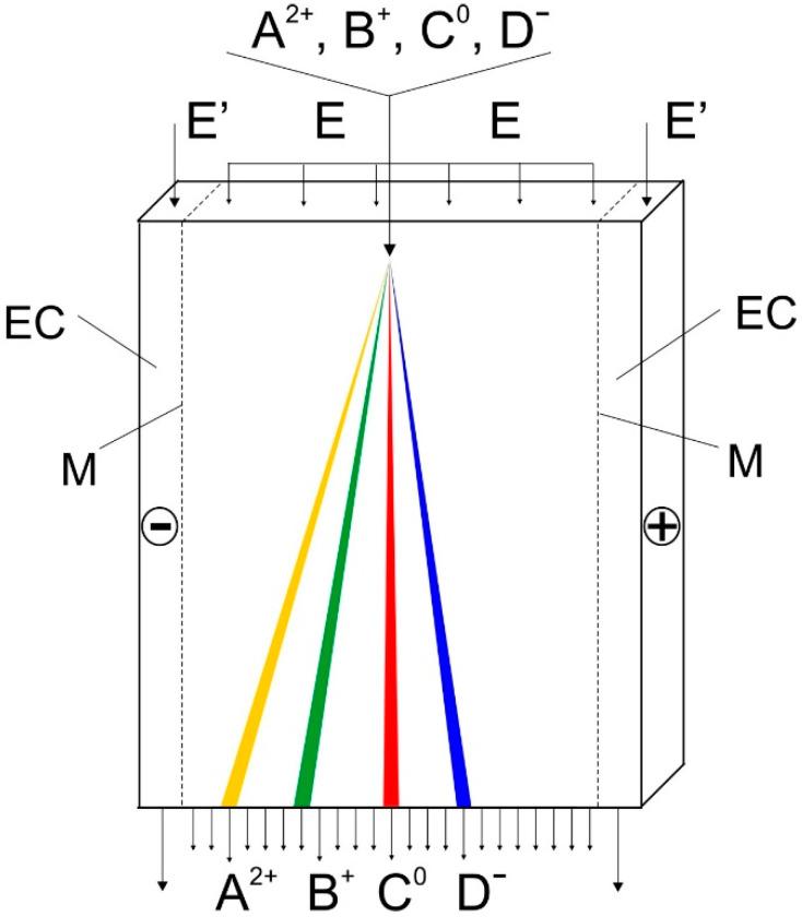 https://cdn.ncbi.nlm.nih.gov/pmc/blobs/aed6/8469924/a36e71317f80/molecules-26-05636-g002.jpg