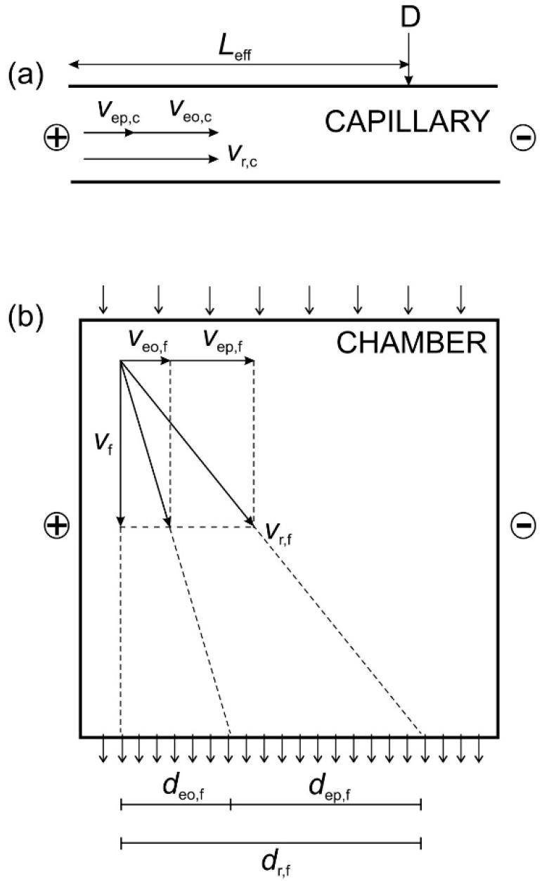 https://cdn.ncbi.nlm.nih.gov/pmc/blobs/aed6/8469924/cf305a4a7ad4/molecules-26-05636-g003.jpg