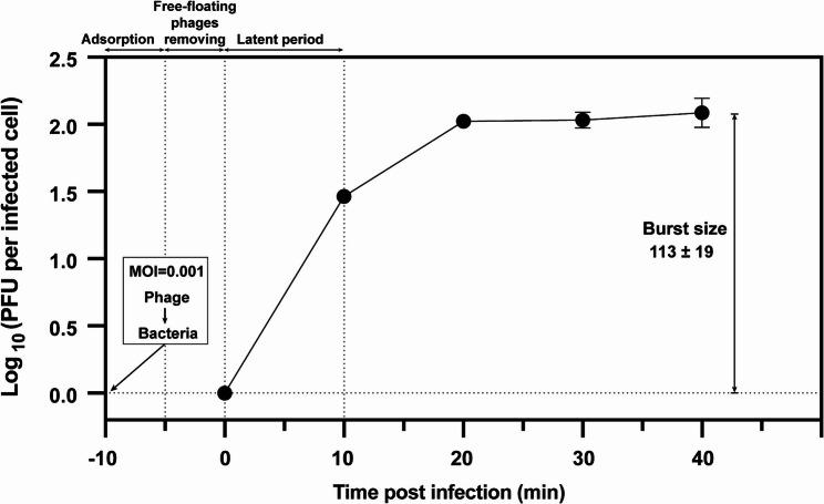 https://cdn.ncbi.nlm.nih.gov/pmc/blobs/aed7/12254997/b4c9d84a9439/12866_2025_4133_Fig2_HTML.jpg