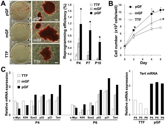 https://cdn.ncbi.nlm.nih.gov/pmc/blobs/aed9/2939066/9382c272426c/pone.0012743.g005.jpg