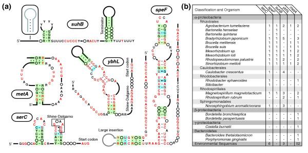 https://cdn.ncbi.nlm.nih.gov/pmc/blobs/aee3/1273637/511b4f30984a/gb-2005-6-8-r70-1.jpg