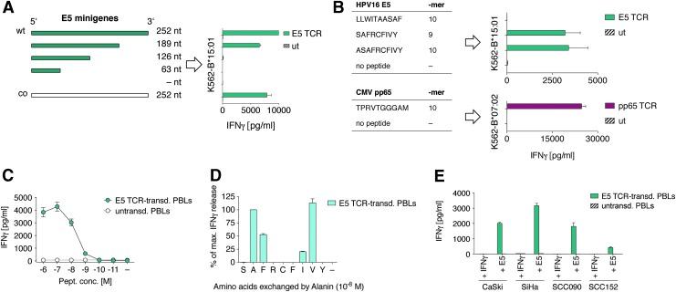 https://cdn.ncbi.nlm.nih.gov/pmc/blobs/aee3/5737719/1c799ac610bb/fig-4.jpg