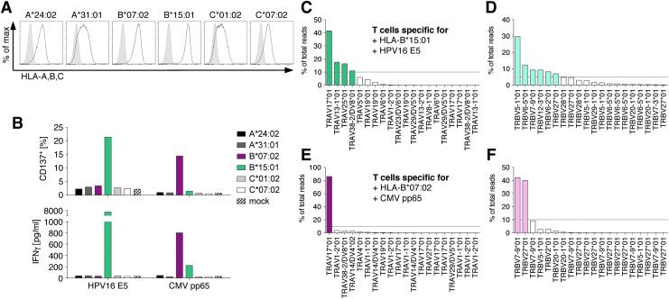 https://cdn.ncbi.nlm.nih.gov/pmc/blobs/aee3/5737719/38fcbcf0d608/fig-2.jpg