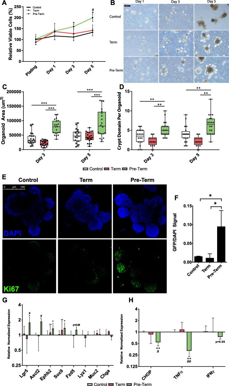 https://cdn.ncbi.nlm.nih.gov/pmc/blobs/aee4/7353703/96f787e8d769/12866_2020_1892_Fig5_HTML.jpg