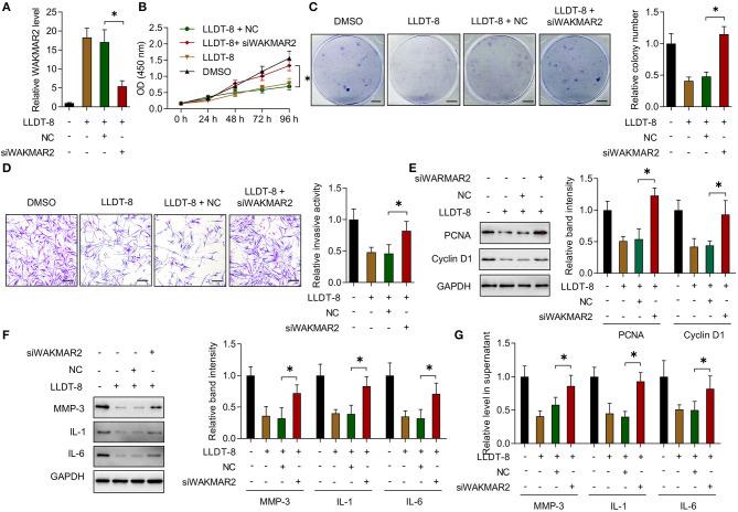 https://cdn.ncbi.nlm.nih.gov/pmc/blobs/aee4/7921149/252945be5b44/fimmu-12-605616-g0004.jpg