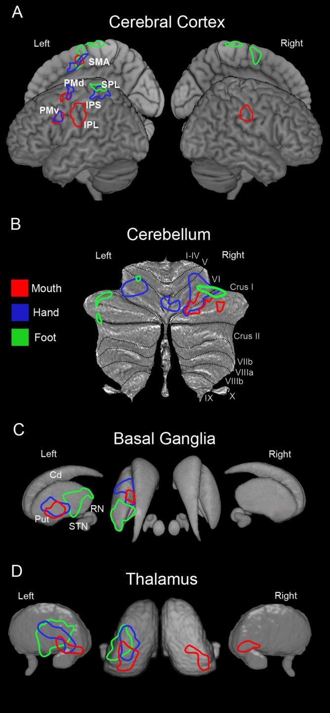 https://cdn.ncbi.nlm.nih.gov/pmc/blobs/aee5/10293454/ec7ca585ff75/10548_2023_960_Fig10_HTML.jpg