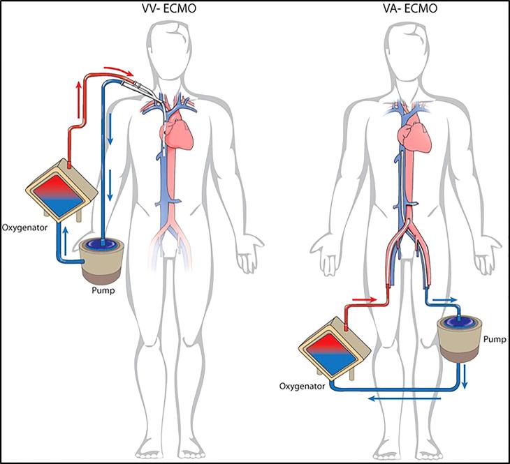 https://cdn.ncbi.nlm.nih.gov/pmc/blobs/aee7/9732715/6a91a933edde/fonc-12-1005929-g001.jpg