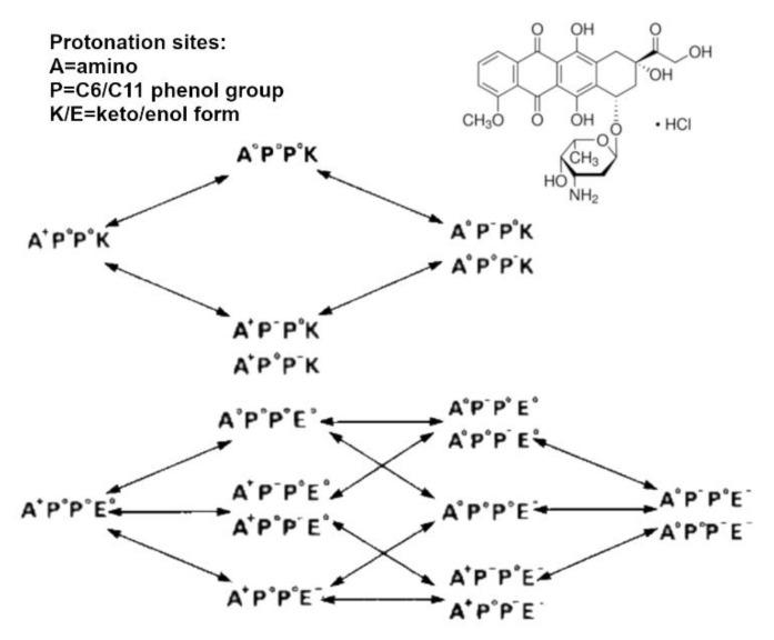 https://cdn.ncbi.nlm.nih.gov/pmc/blobs/aeed/8539247/e6ec234ec917/pharmaceutics-13-01654-g005.jpg