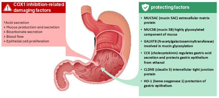 https://cdn.ncbi.nlm.nih.gov/pmc/blobs/aeee/12028567/7c5106b238df/life-15-00659-g002.jpg
