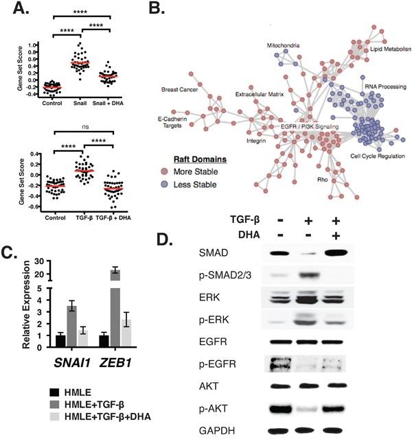 https://cdn.ncbi.nlm.nih.gov/pmc/blobs/aeee/5239496/51a2169568f5/oncotarget-07-51553-g005.jpg