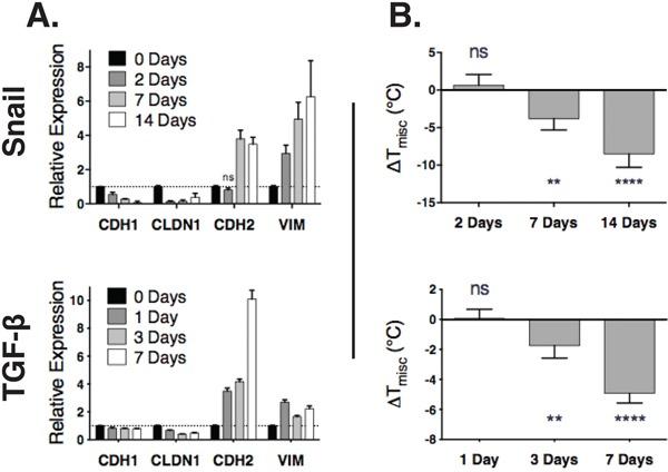 https://cdn.ncbi.nlm.nih.gov/pmc/blobs/aeee/5239496/744efd7dd7a9/oncotarget-07-51553-g002.jpg