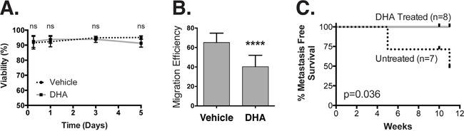https://cdn.ncbi.nlm.nih.gov/pmc/blobs/aeee/5239496/b9f405504a5a/oncotarget-07-51553-g006.jpg