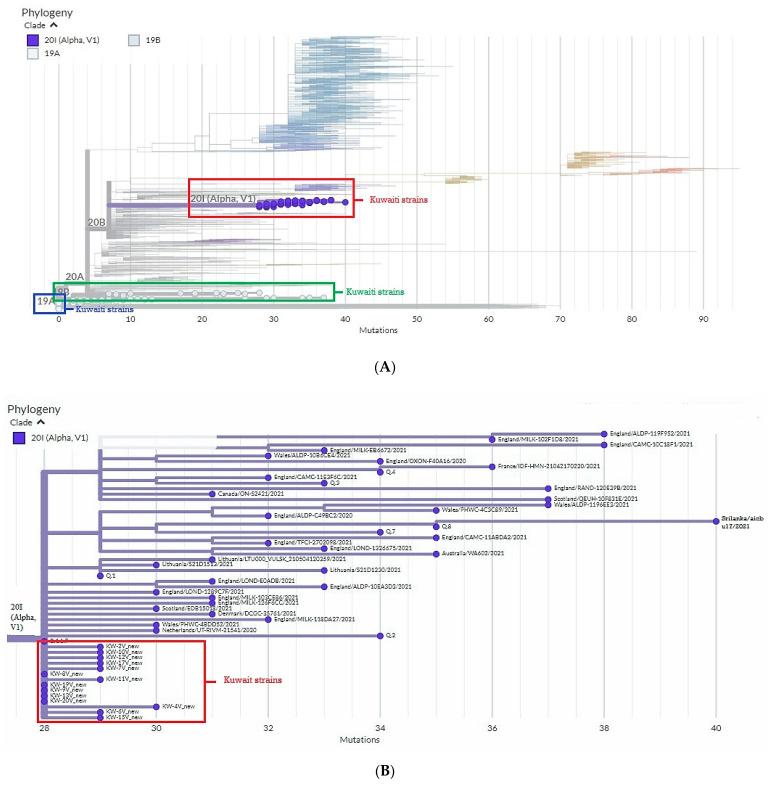 https://cdn.ncbi.nlm.nih.gov/pmc/blobs/aeee/9505955/98eb83b69775/pathogens-11-00985-g001a.jpg