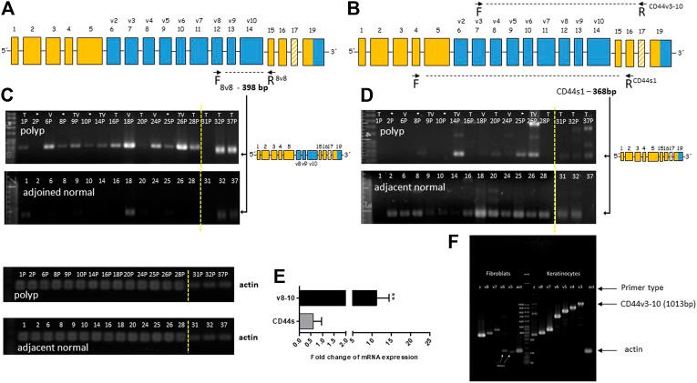 https://cdn.ncbi.nlm.nih.gov/pmc/blobs/aef0/8262190/66265aaef619/pore-27-614281-g002.jpg