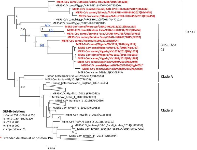 https://cdn.ncbi.nlm.nih.gov/pmc/blobs/aef1/5866576/f59db5520ed1/pnas.1718769115fig01.jpg