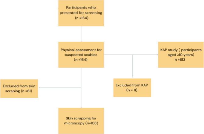 https://cdn.ncbi.nlm.nih.gov/pmc/blobs/aef3/12351795/4f6087f5ef79/12889_2025_24172_Fig2_HTML.jpg
