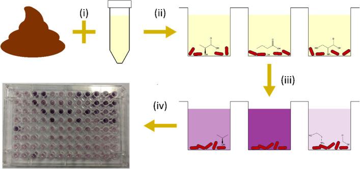 https://cdn.ncbi.nlm.nih.gov/pmc/blobs/aefb/11665080/8ff3d1a68f50/12866_2024_3701_Fig1_HTML.jpg