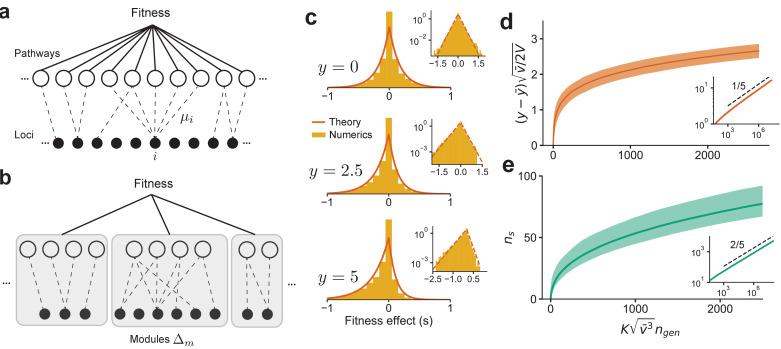 https://cdn.ncbi.nlm.nih.gov/pmc/blobs/aefc/8057814/fa2f2c2b06bd/elife-64740-fig4.jpg