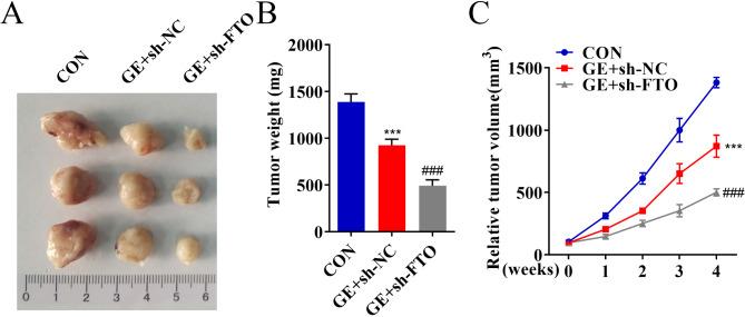 https://cdn.ncbi.nlm.nih.gov/pmc/blobs/aeff/11470737/26691440f271/12885_2024_13036_Fig7_HTML.jpg