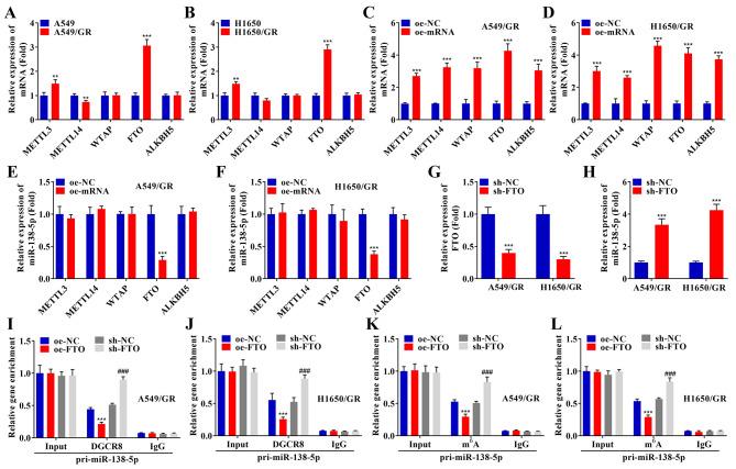 https://cdn.ncbi.nlm.nih.gov/pmc/blobs/aeff/11470737/3306b39f9fa8/12885_2024_13036_Fig6_HTML.jpg