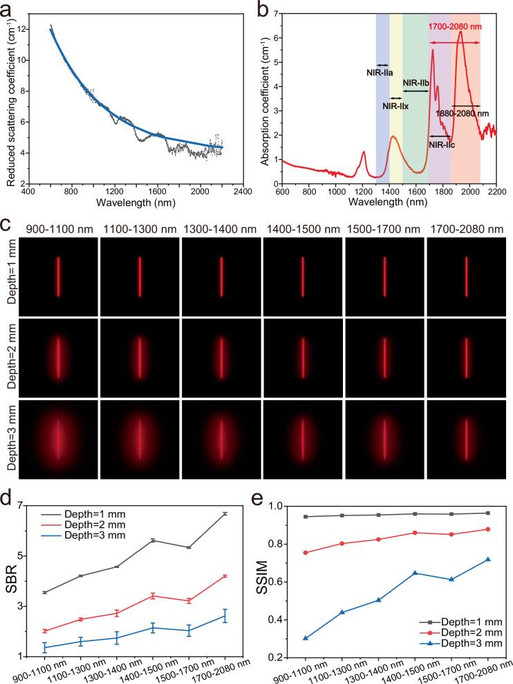 https://cdn.ncbi.nlm.nih.gov/pmc/blobs/af01/12075662/1ab999257116/41467_2025_59630_Fig4_HTML.jpg