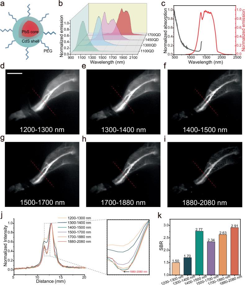 https://cdn.ncbi.nlm.nih.gov/pmc/blobs/af01/12075662/c858df1b0d97/41467_2025_59630_Fig2_HTML.jpg