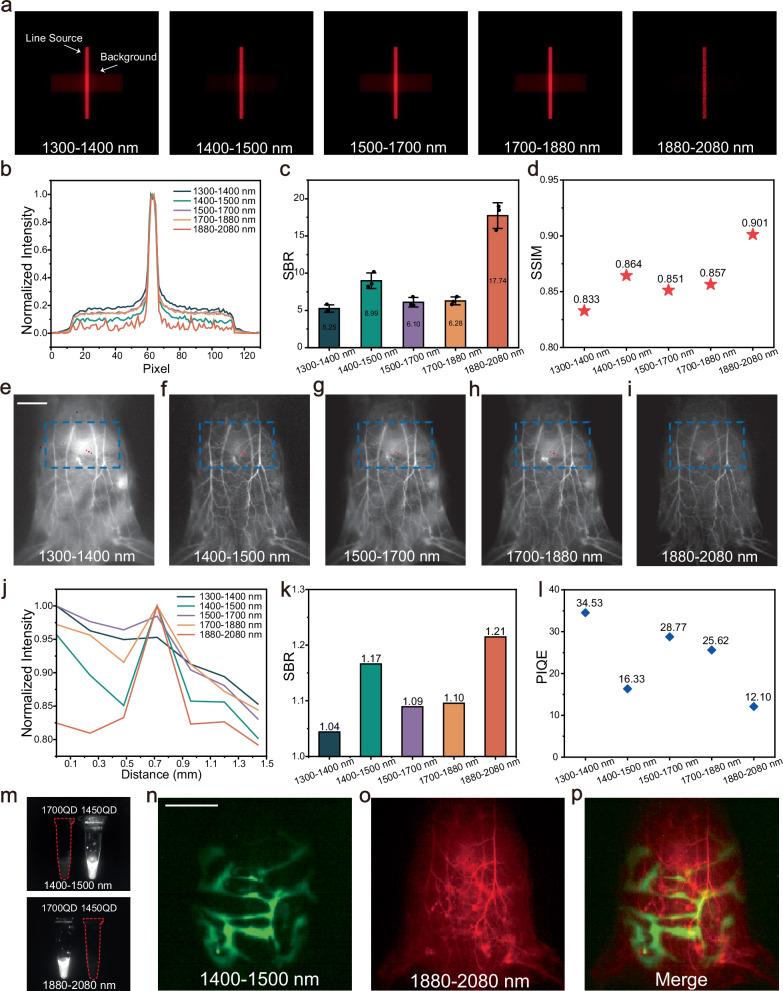 https://cdn.ncbi.nlm.nih.gov/pmc/blobs/af01/12075662/f77a51830645/41467_2025_59630_Fig3_HTML.jpg