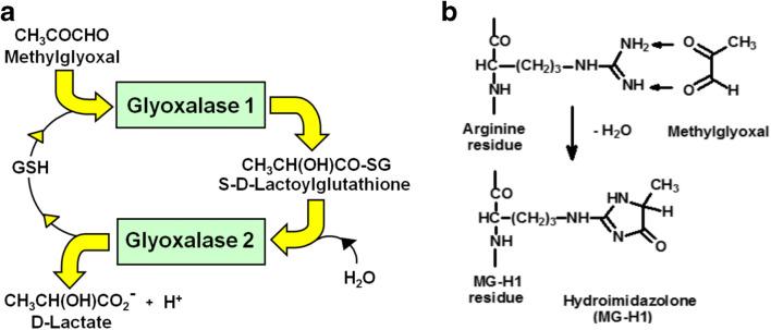 https://cdn.ncbi.nlm.nih.gov/pmc/blobs/af01/8116241/46ed40f9987d/10719_2021_9980_Fig1_HTML.jpg