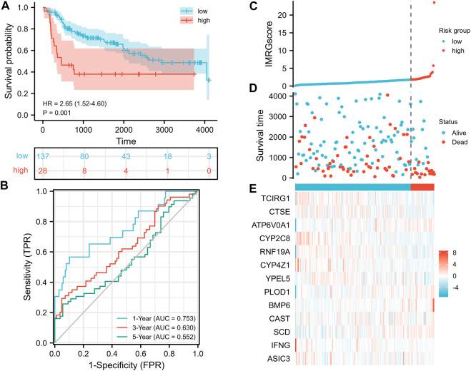 https://cdn.ncbi.nlm.nih.gov/pmc/blobs/af02/8899848/18bbd69589c3/fcell-10-810272-g008.jpg