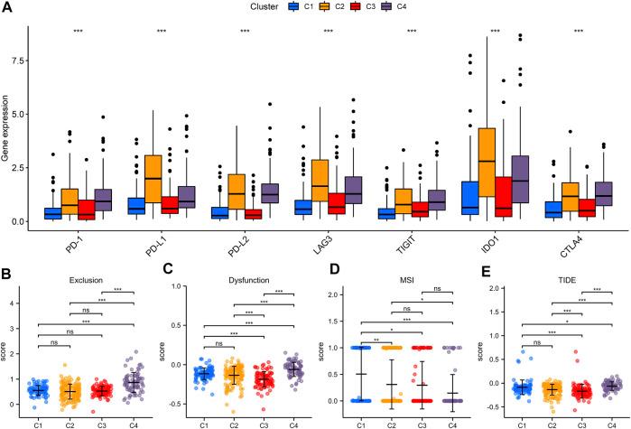 https://cdn.ncbi.nlm.nih.gov/pmc/blobs/af02/8899848/9f3fab873ab6/fcell-10-810272-g005.jpg